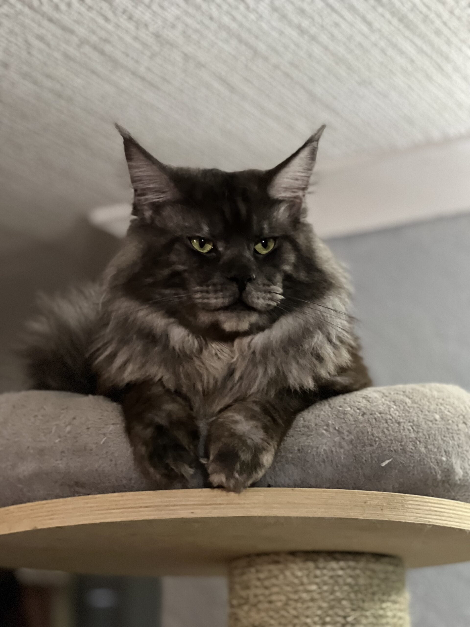 Photo 06-01-2022, 19 53 15