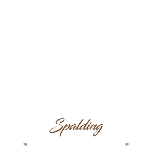 Dreamhousekatz logo